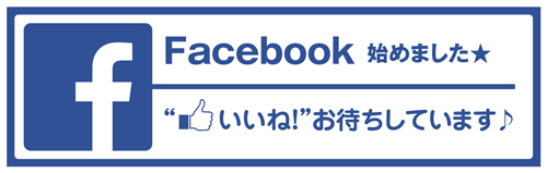 facebook_smg_web[1].jpg