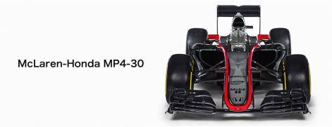 F1_20150130.jpg