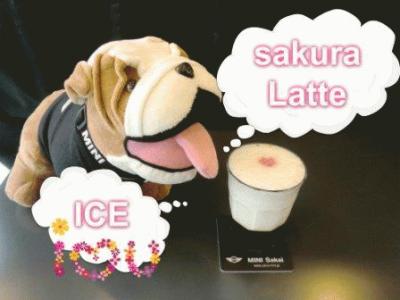 sakura Latte ICE.jpg