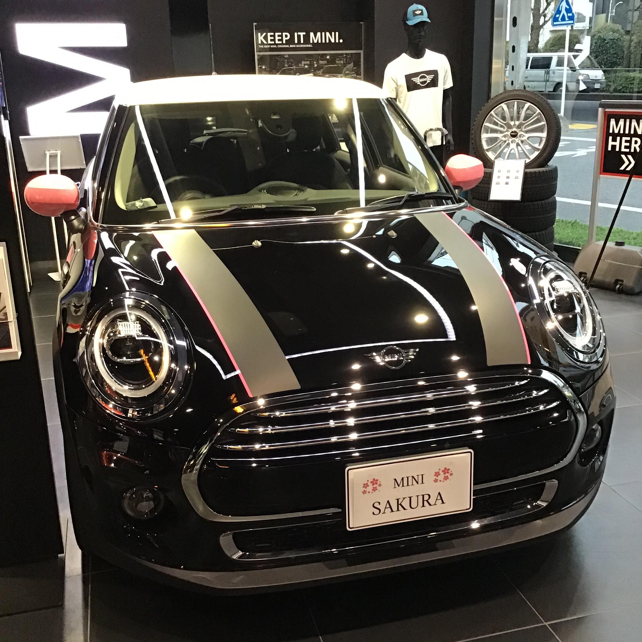 /bmw-tokyo-mini/saku.jpg