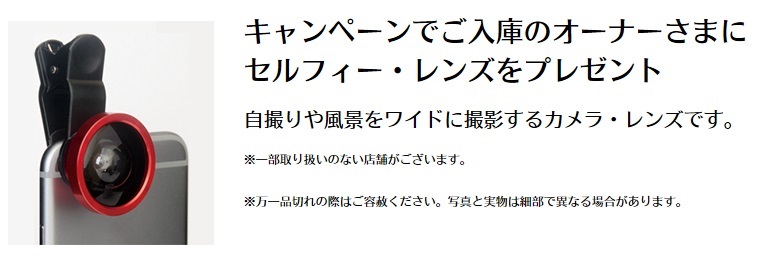 ｾﾙﾌｨｰ1.jpg