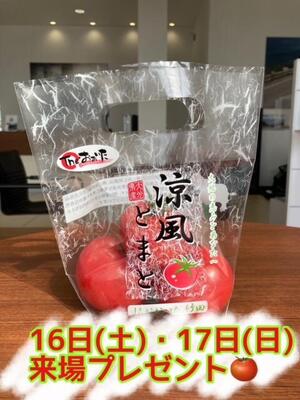 朝採れトマト.JPG