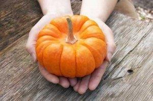 ミニかぼちゃ.jpg