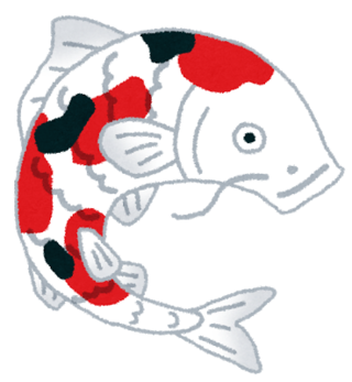 fish_nishikigoi.png