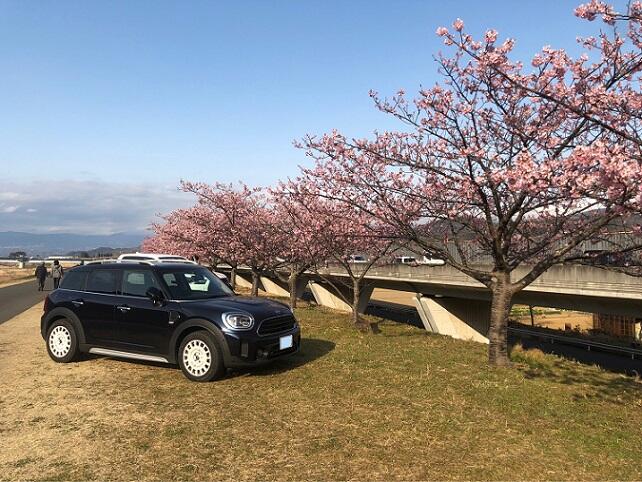 F60　桜.jpg