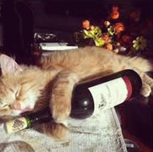 猫ワイン.jpg