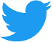 ブログ用2021 Twitter logo - blue.png