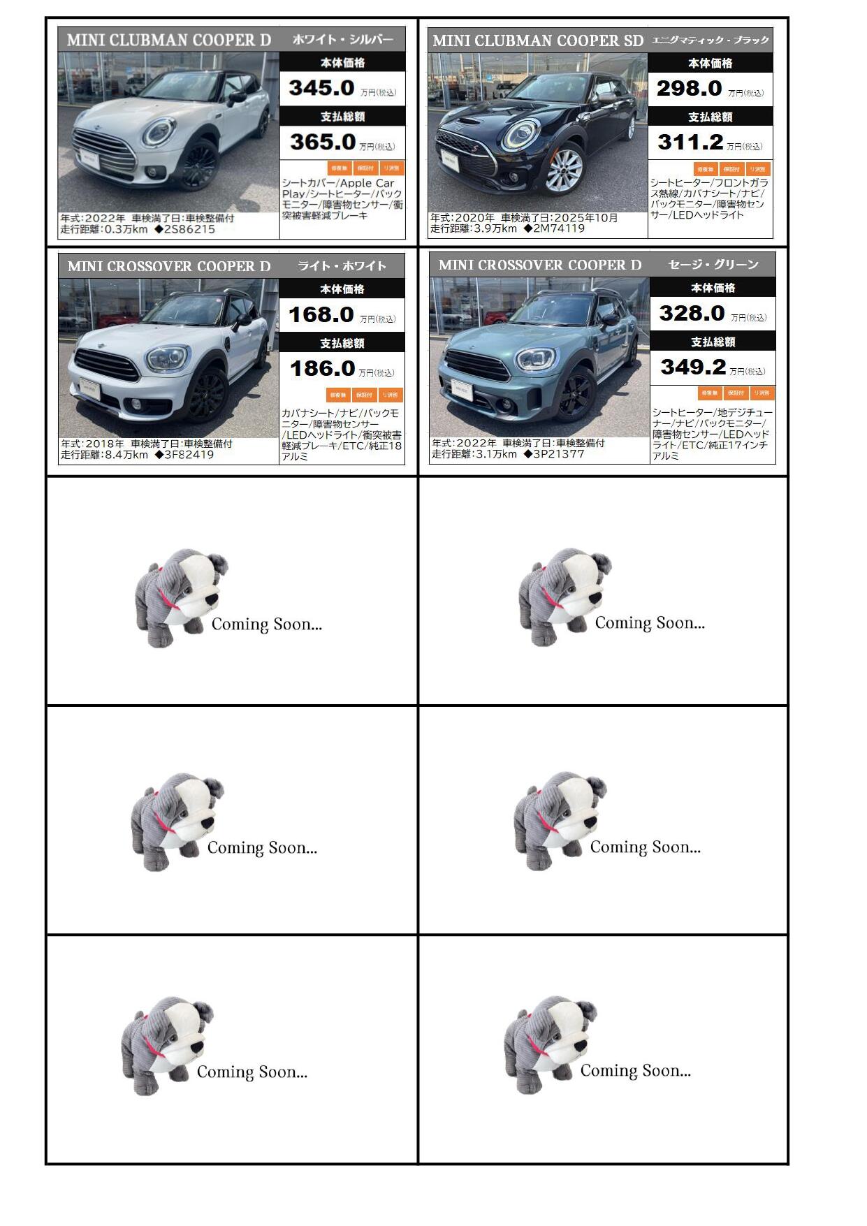 MINI_page-0002.jpg