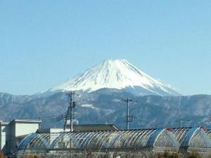 富士山.jpg