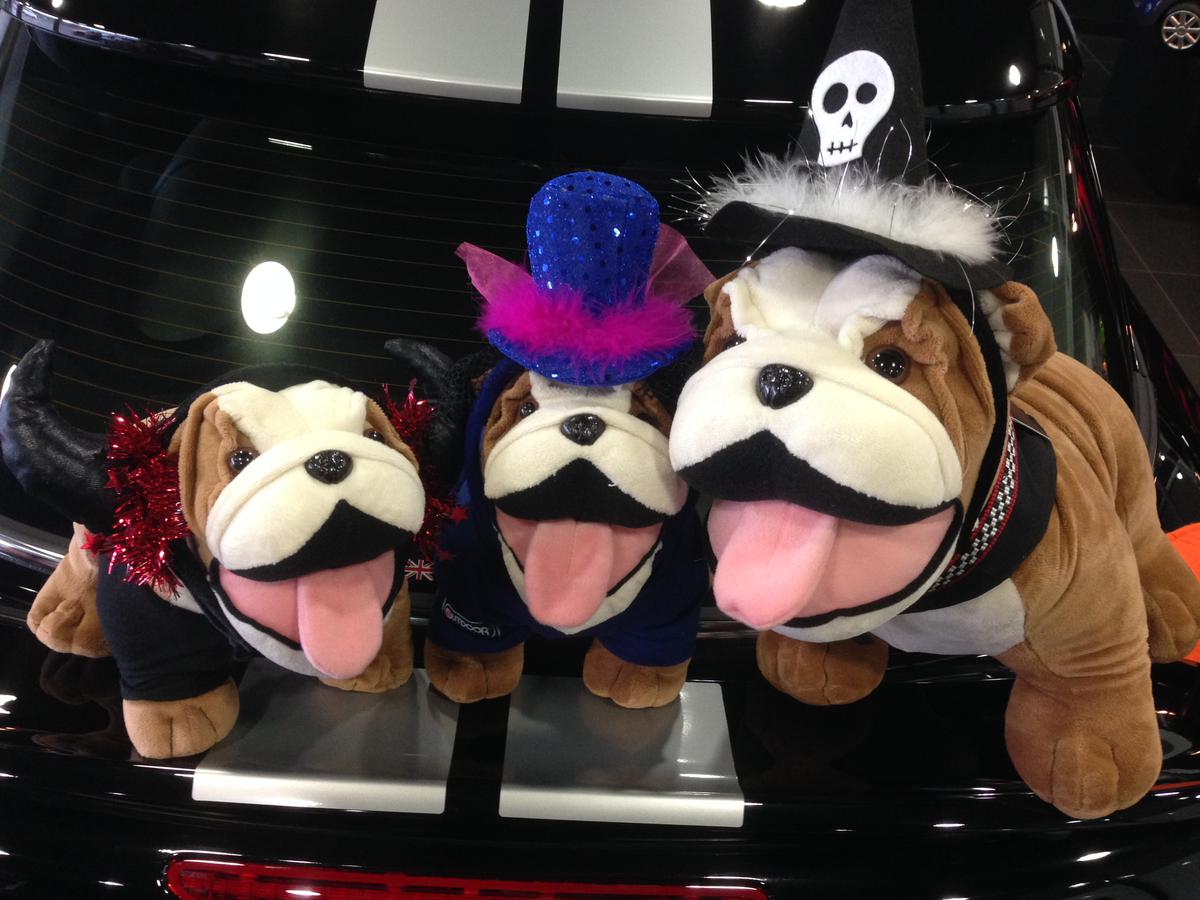 ハロウィン仕様☆.+ - MINI 市川 ディーラーブログ