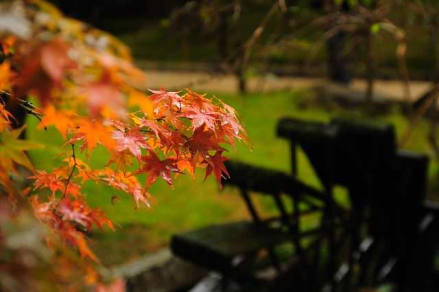 0911221433_DSC_2119.jpg