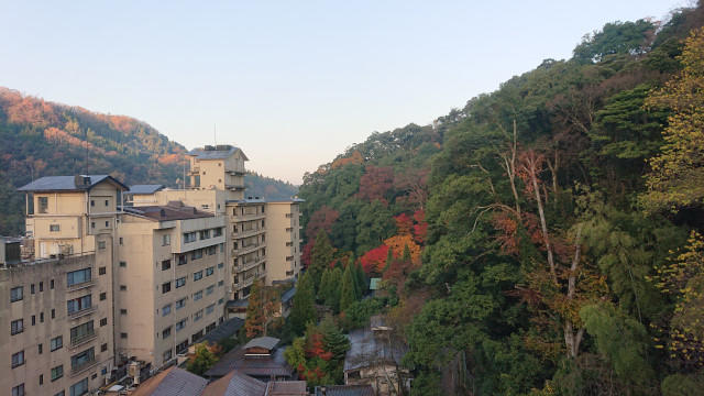 DSC_0669.JPG