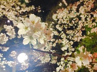 IMG_8096.jpg