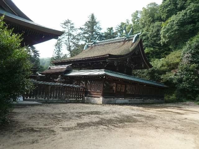 P1400595.jpg