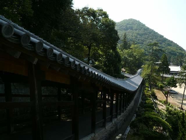 P1400770.jpg