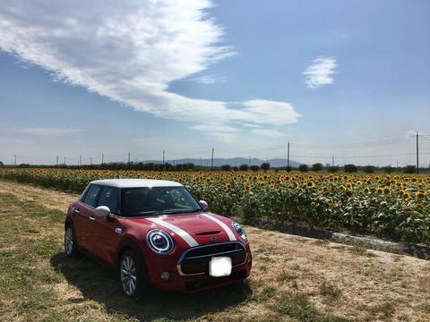 S__41795634.jpg