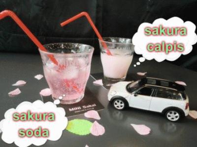 sakura soda calpis.jpgのサムネイル画像