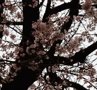 _20160402_103926.JPG