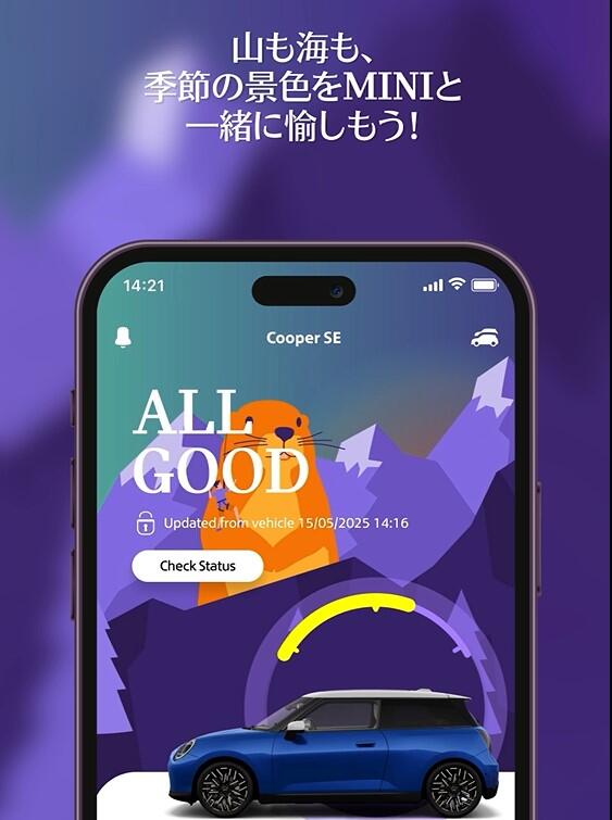 MINI APP.jpg