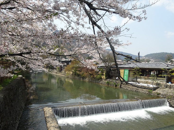 京都 (3).JPG