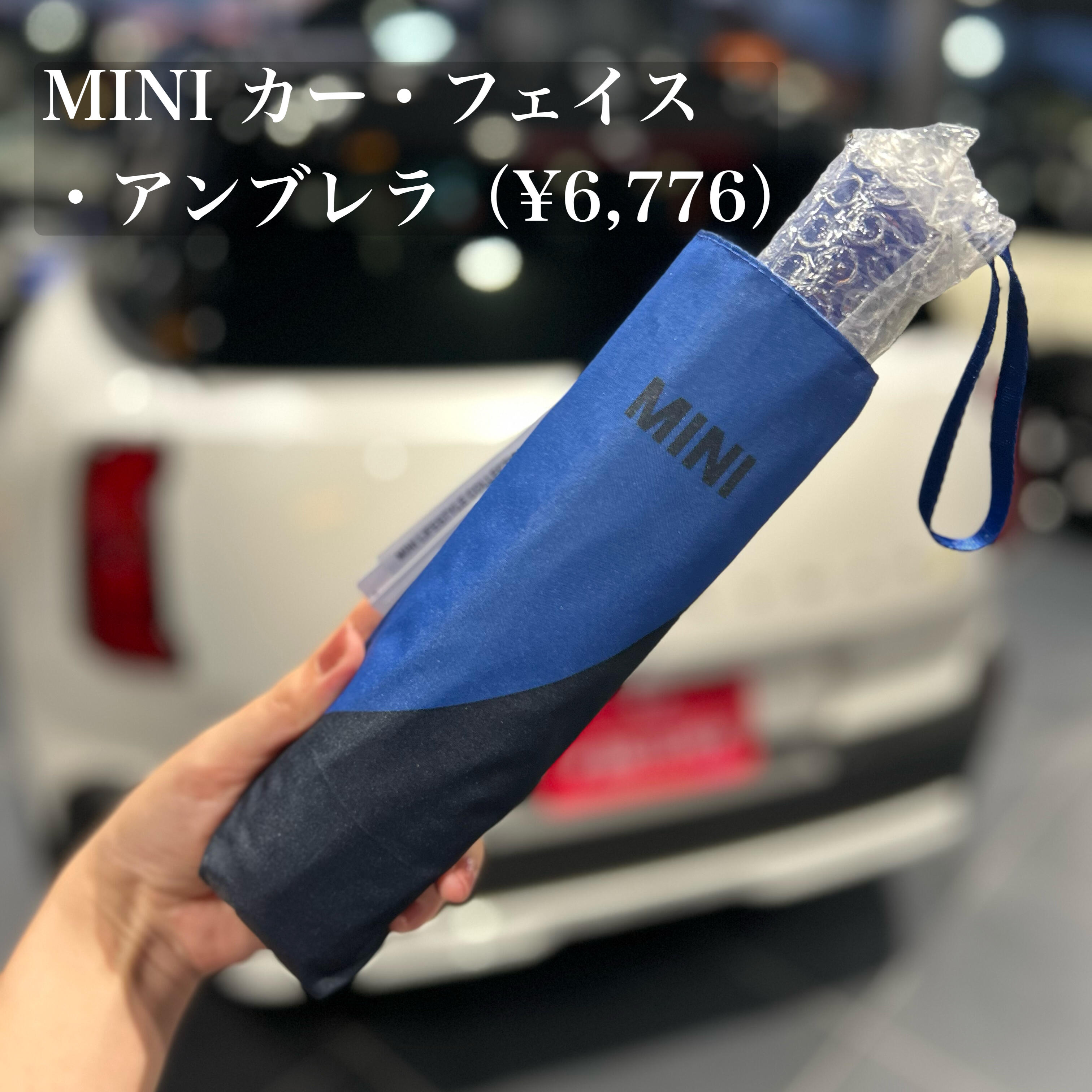 折り畳み1.jpeg