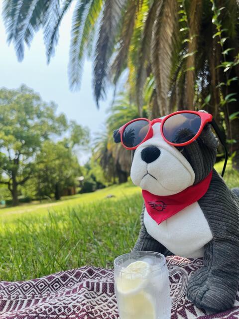 ハワイ公園.jpg