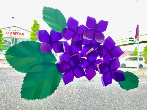 紫陽花1.jpg