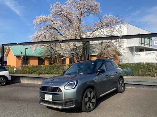 桜.jpg
