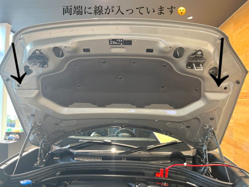 IMG_3844.PNG