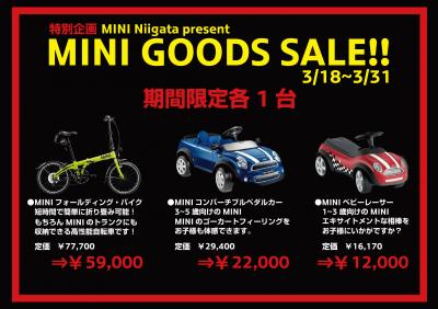 MINI goods.jpg